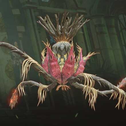 ザカラネア画像