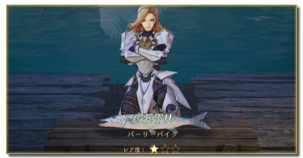 釣りのやり方とコツ