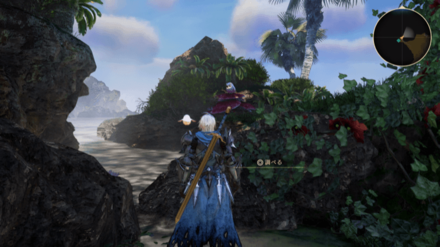 トゥーア海岸のフクロウ