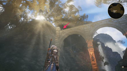 瀑陽の森のフクロウ