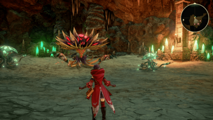 ガザフローラの出現場所詳細