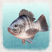 グッドアングラー