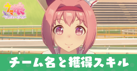 チーム名と獲得スキル