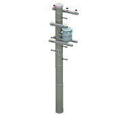 電柱(広告なし)