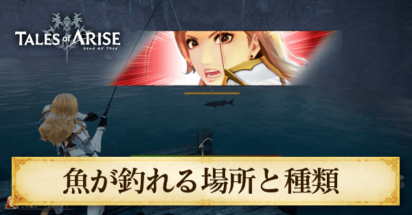 魚が釣れる場所と種類一覧