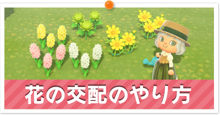 花の交配のやり方パーシャル