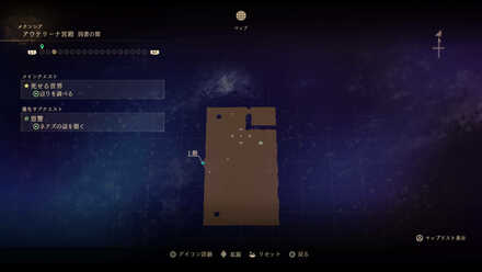 ネヴィーラの幻の花