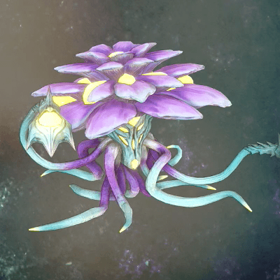 ブルームローパーLv38画像