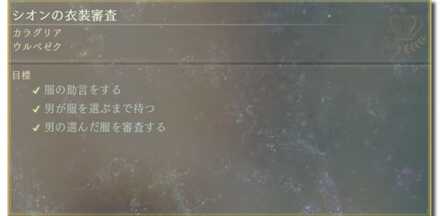 シオンの衣装審査