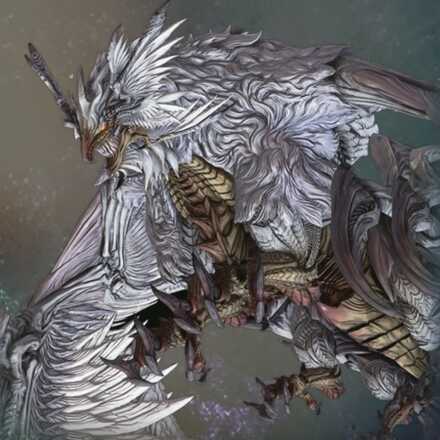 プロセラ・シルフ画像