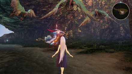 ストーミィの出現場所詳細