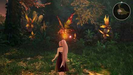 ビードミナントの出現場所詳細