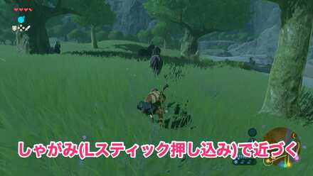 しゃがみで近づく