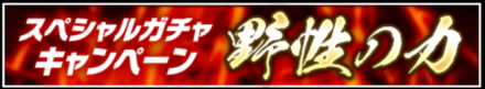 「野生の力」の特徴と狙うべき拳魂