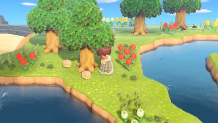 島にあるものを自由に持り帰れる