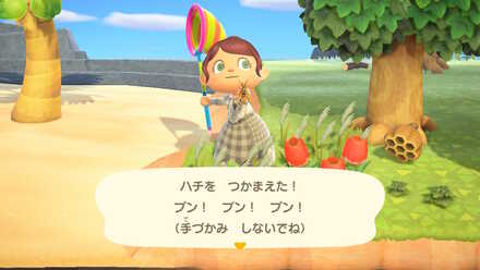 虫や魚、海の幸を捕まえる