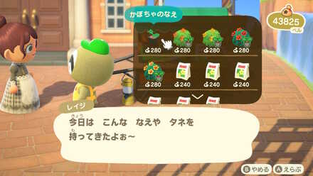 タヌキ商店やレイジから種を買う