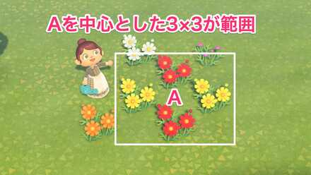 3×3が交配の範囲