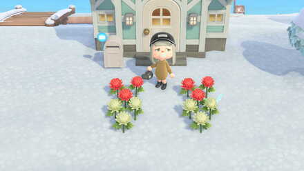 ゲームを起動し、花を確認する