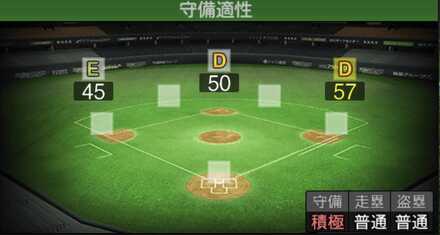 マーティン画像