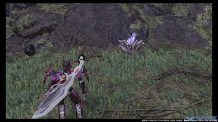 日課ギャザリング