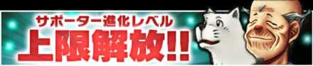 サポーター進化上限解放