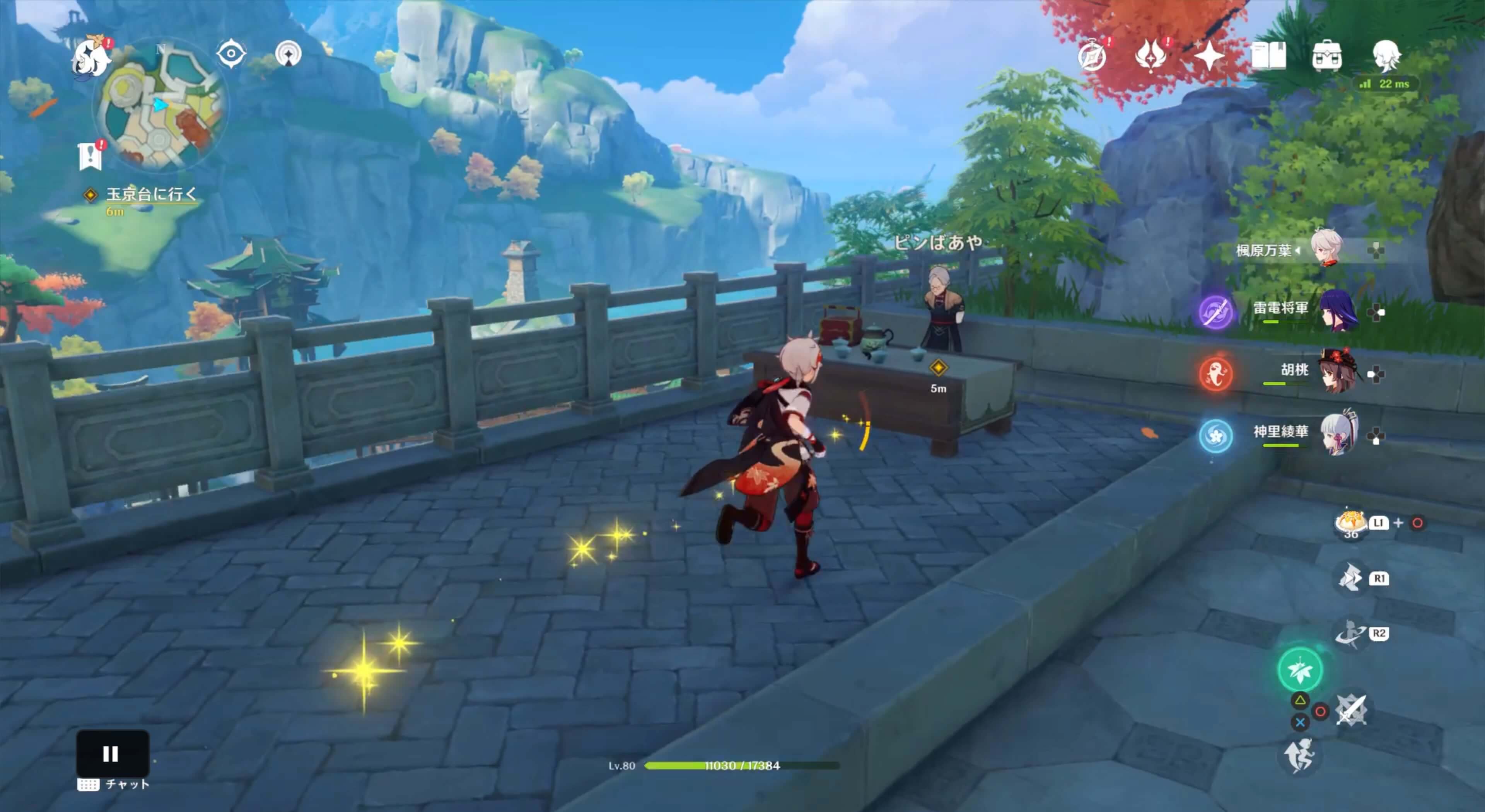 ピンばあやのところにいく