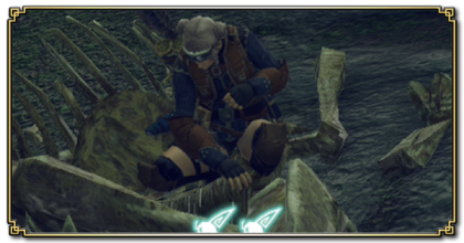 採取装備のおすすめ