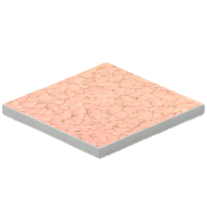 こうやのゆか画像