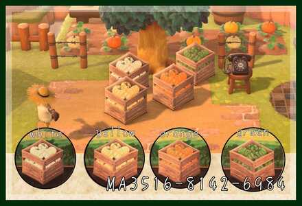 カボチャの木箱の画像