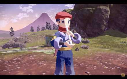 ポケモンライド専用アイテム