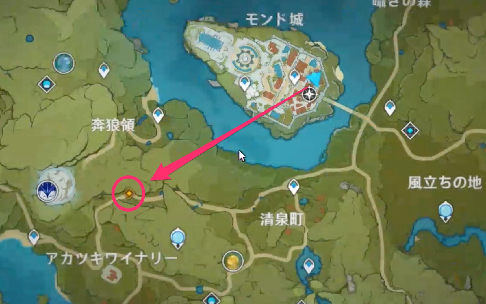 アカツキワイナリー北の道に向かう