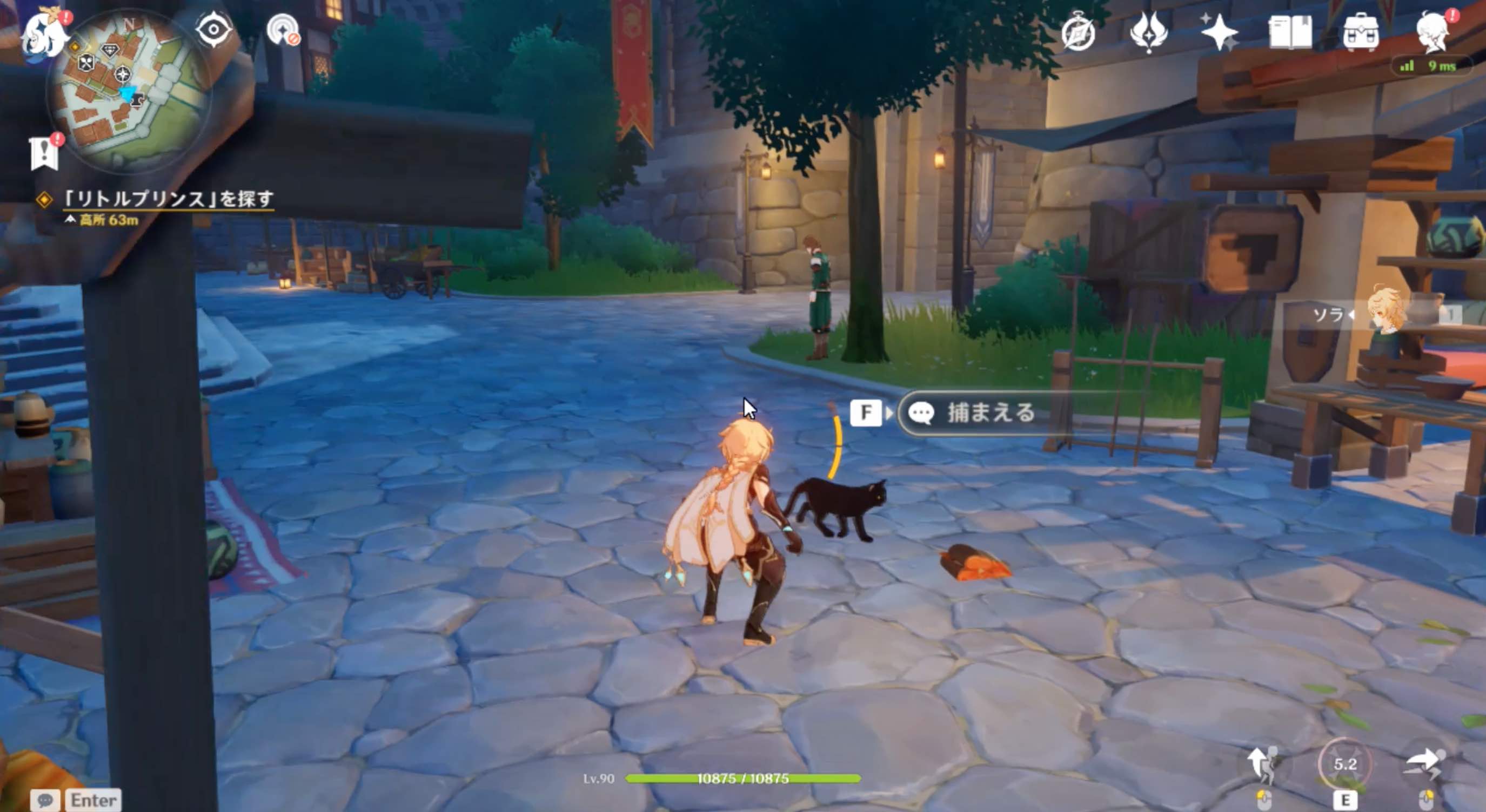 魚肉を投げてリトルプリンスの気を引けば捕まえることが可能