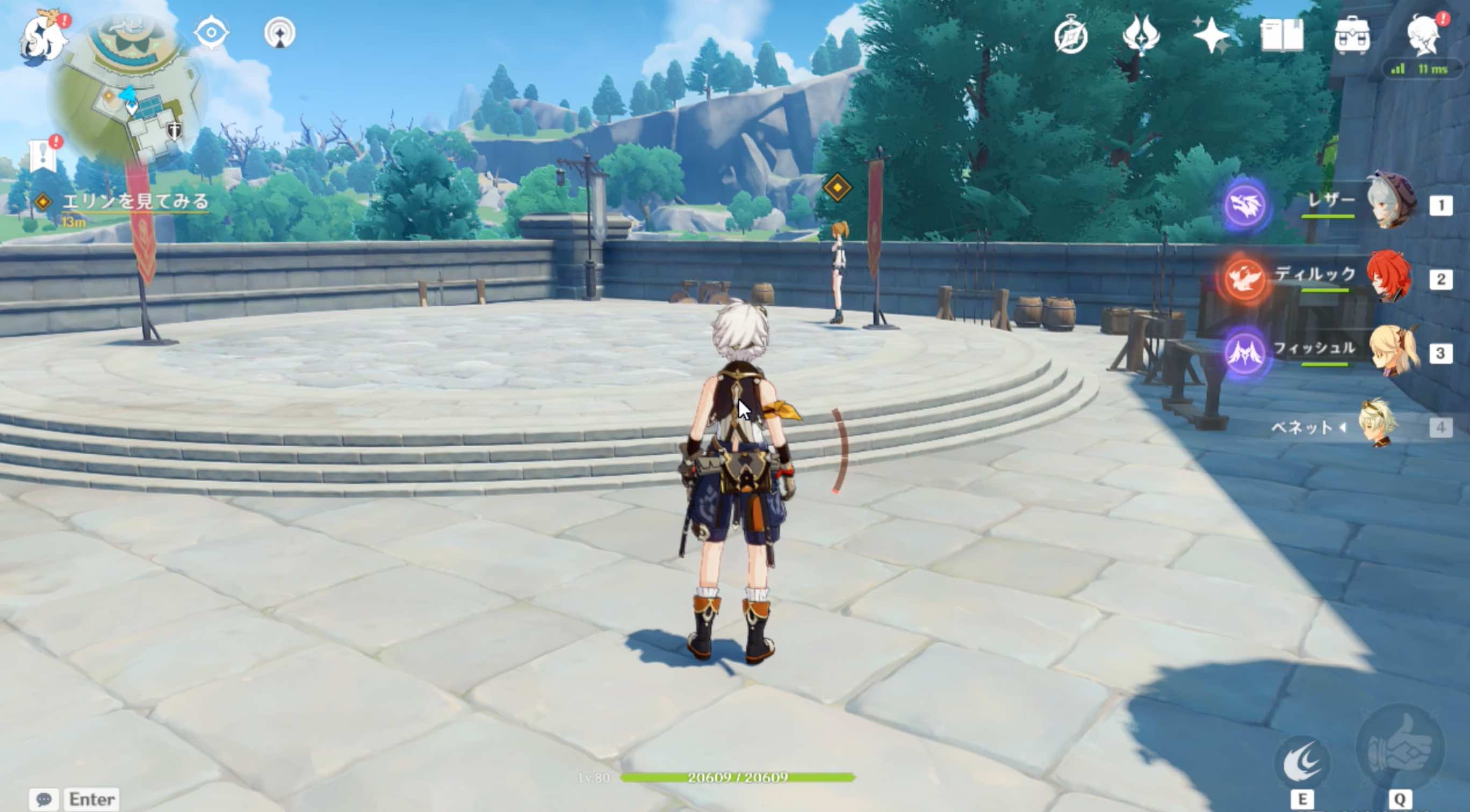 エリンを見てみる