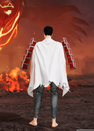 マント阿弥陀丸後