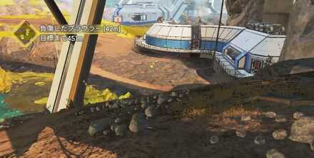 負傷したプラウラーの痕跡