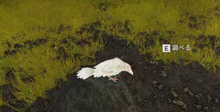 白いカラスを調べる