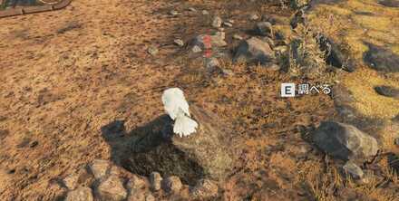 白いカラスを調べる