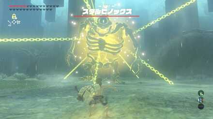 ビタロック使用画像