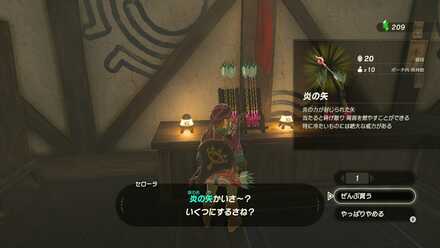 炎の矢かバクダン矢を購入