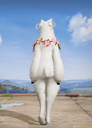 探偵：アルパカ画像