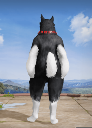 探偵：ハスキー画像