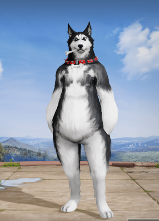 探偵：ハスキー画像