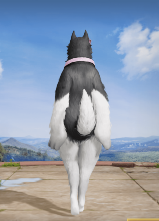 探偵：ハスキー画像