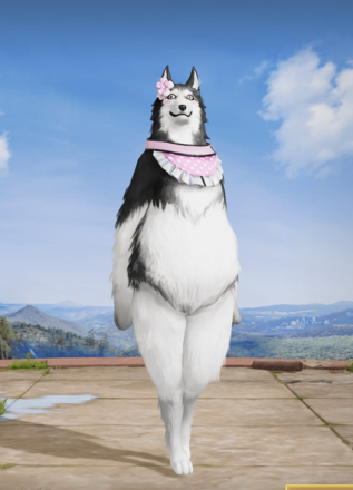 探偵：ハスキー画像