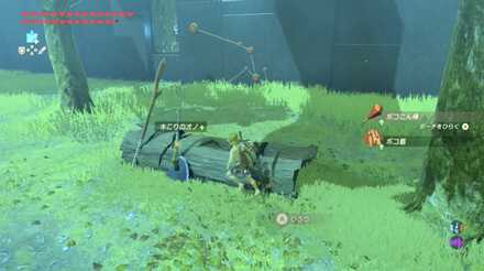 アイテムの取得画面