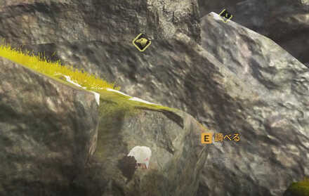 崖近くの白いカラスに話しかける