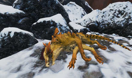 死にかけのプラウラーを調べる