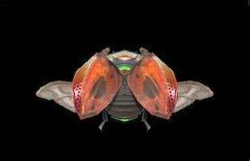 アルジョアーニャの画像