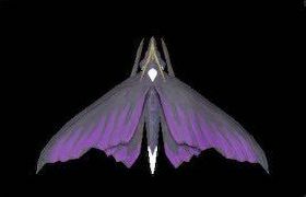 カゼキリバネの画像